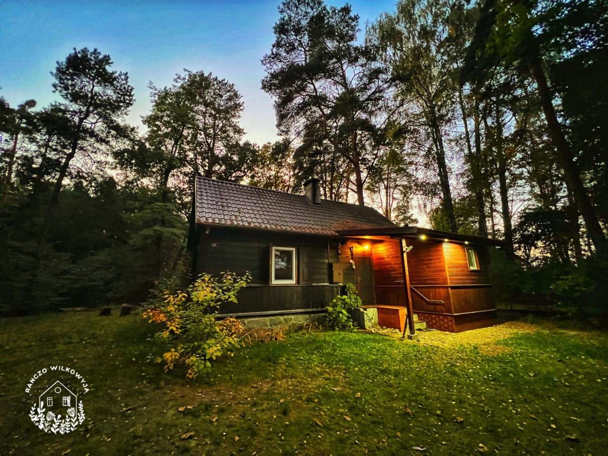 Вилла Ranczo Wilkowyja Wilkowyja  Экстерьер фото